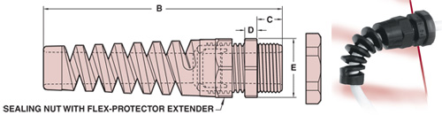 wCR 3237